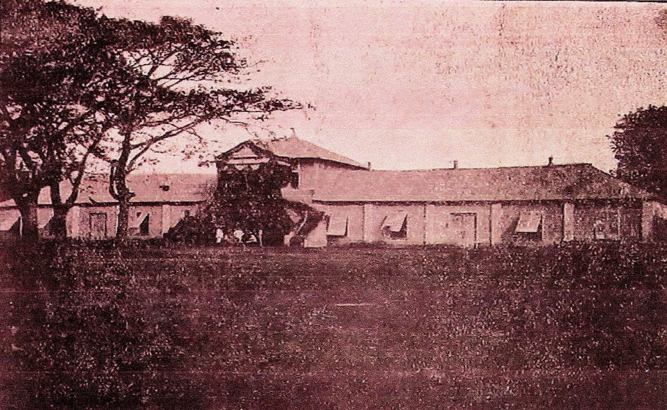 Donde Florecieron los Cafetos 2