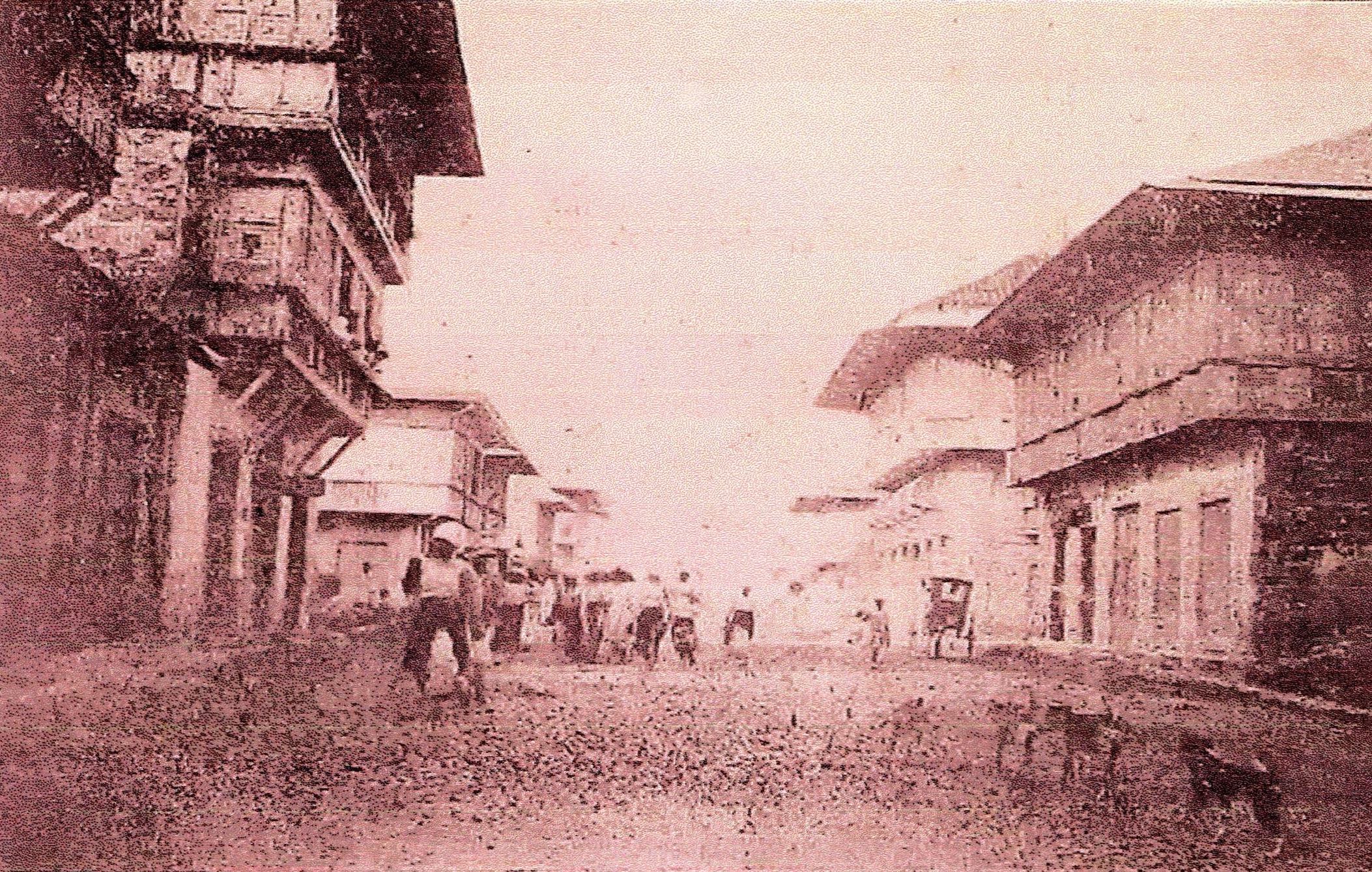 Donde Florecieron los Cafetos