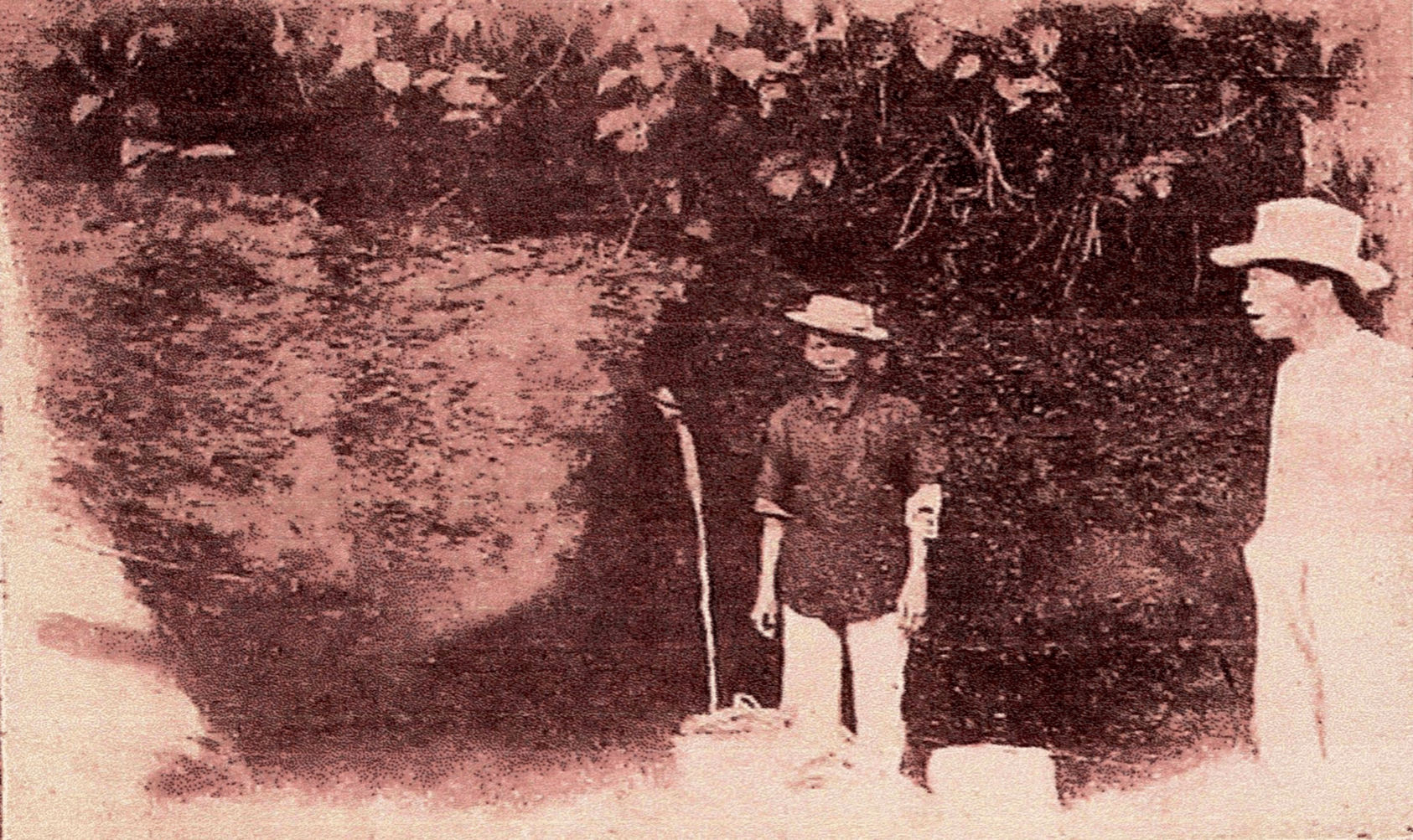 Screen Shot 2019-06-30 at 10.45.29 PM